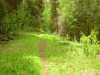 Who Knew Nevada Could Be So Green?